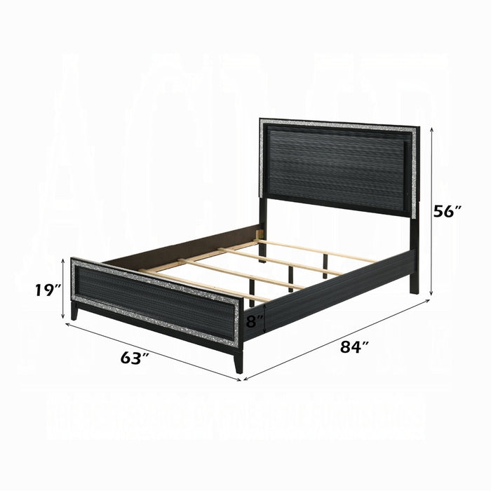 Haiden Queen Bed W/Led