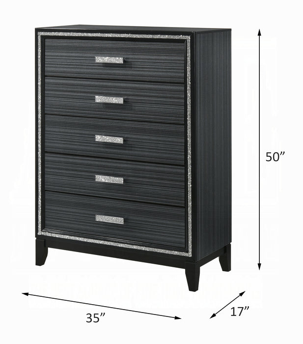 Haiden Chest