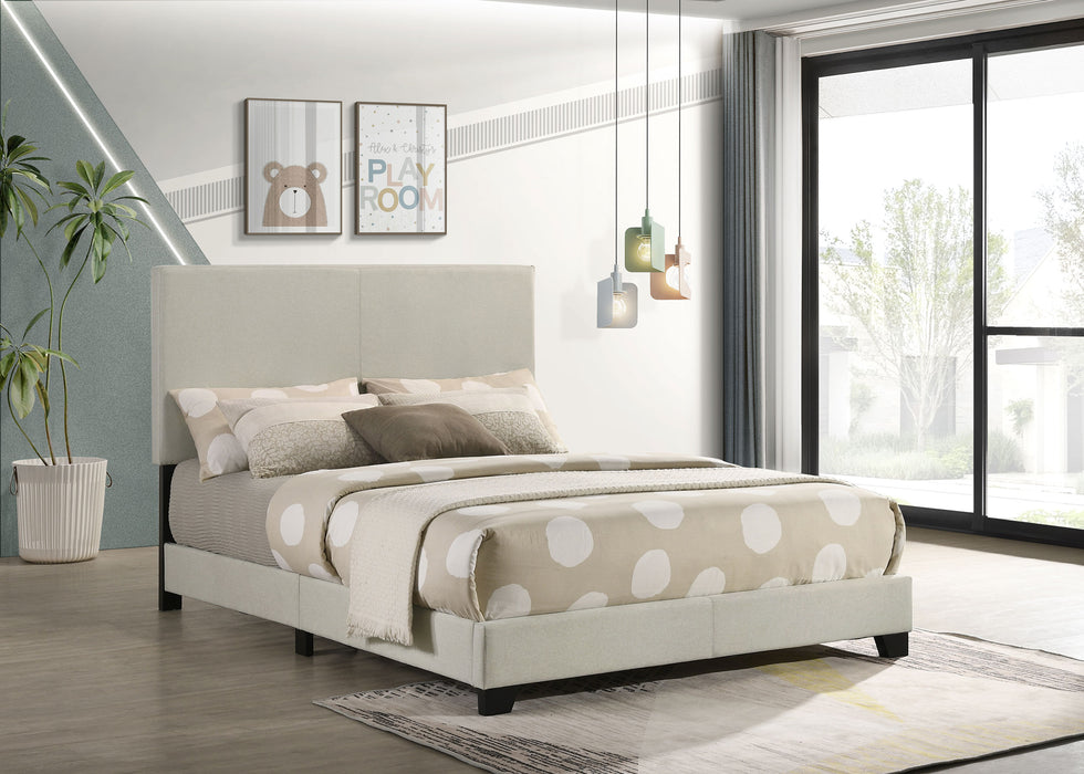 Dorian Beds 2