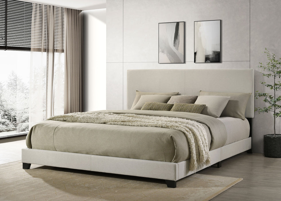 Dorian Beds 2