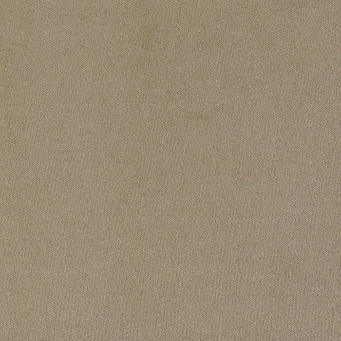 Rainn Upholstered Tight Back Sofa Latte
