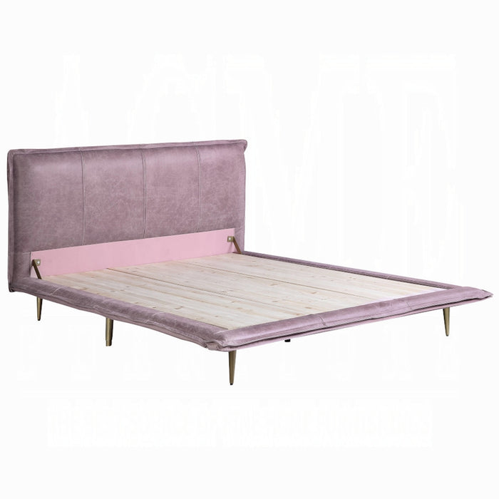Metis EK Bed