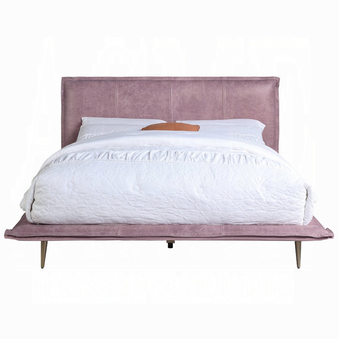 Metis EK Bed
