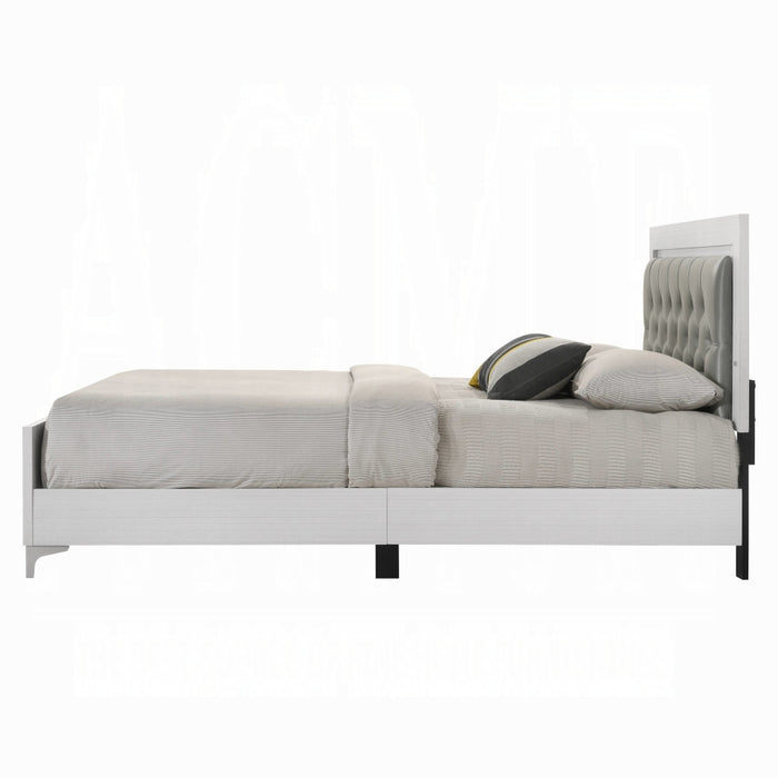 Casilda Queen Bed W/Led