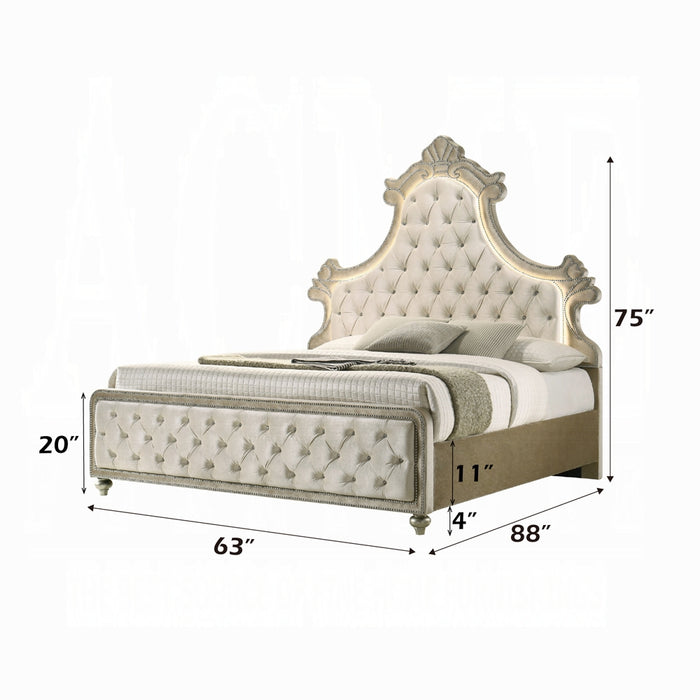 Lucienne Queen Bed W/LED