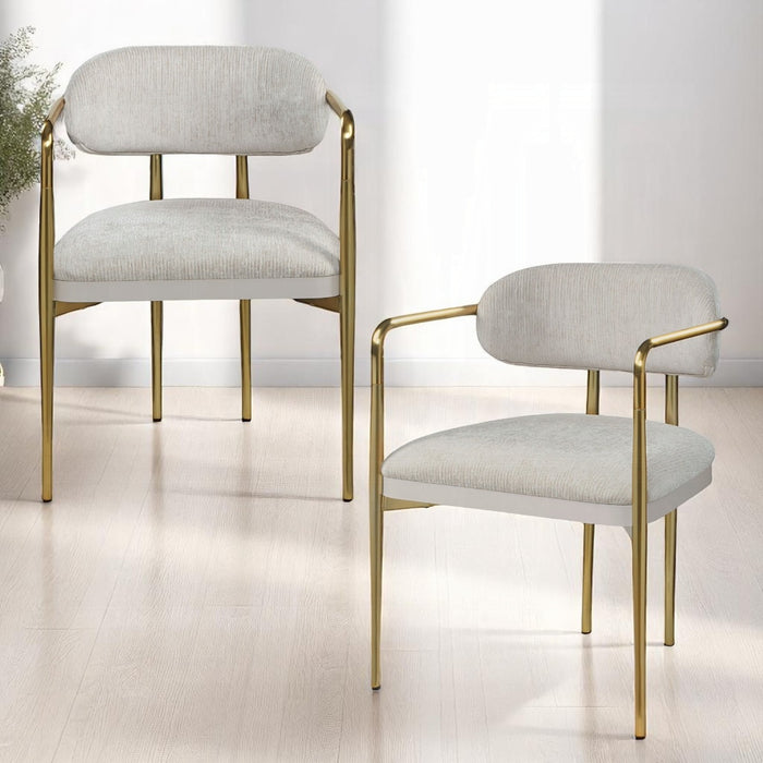 Zayn Arm Chair (Set-2)