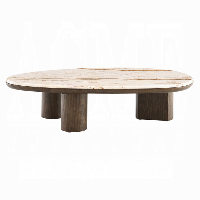 Haidar Coffee Table w/Natural Marble